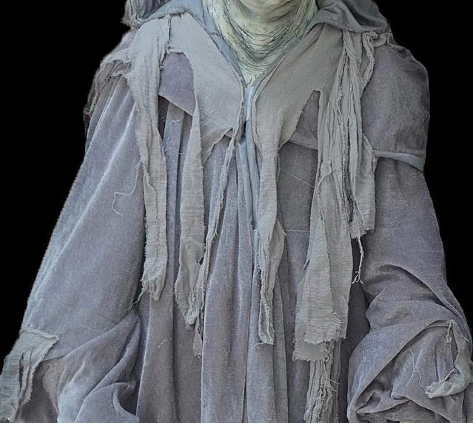 Movie Quality Ghostly Cloak Costume