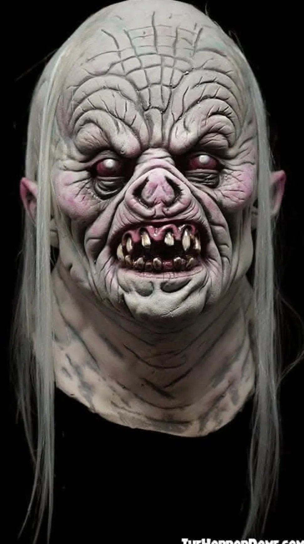NEW "Crypt Ghoul" HD Studios Pro Halloween Mask