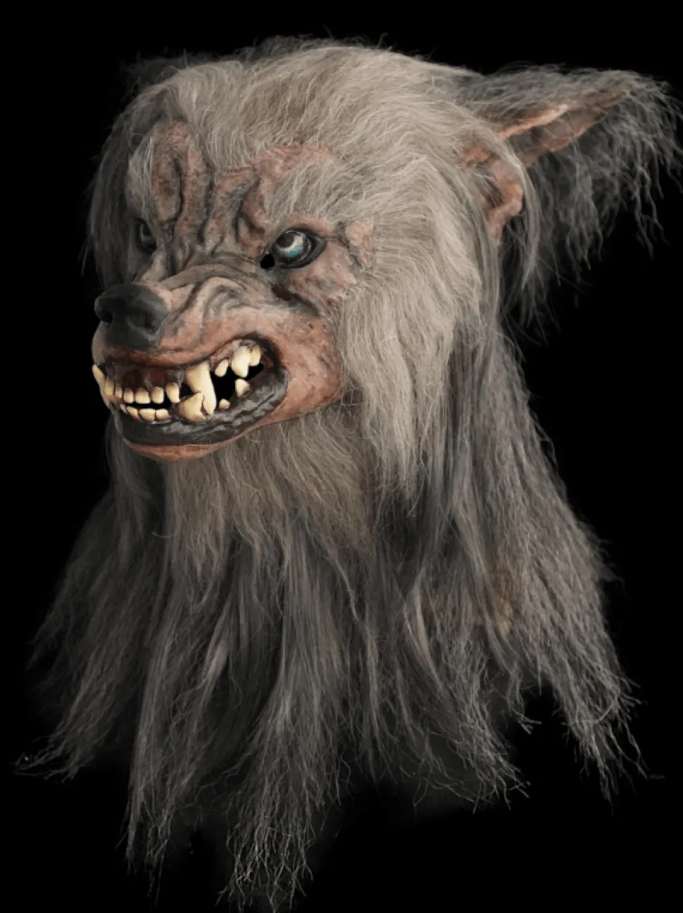New for 2026 “Bad Moon Werewolf" HD Studios Pro Halloween Mask