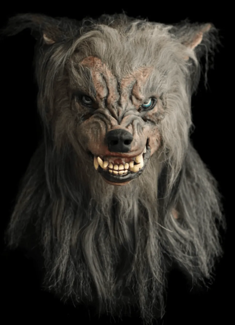 New for 2026 “Bad Moon Werewolf" HD Studios Pro Halloween Mask