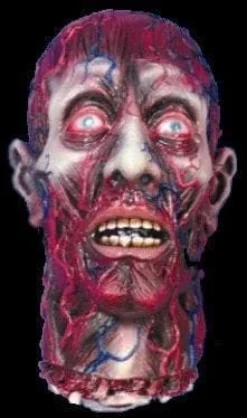 Peeled Flesh Severed Head Halloween Prop