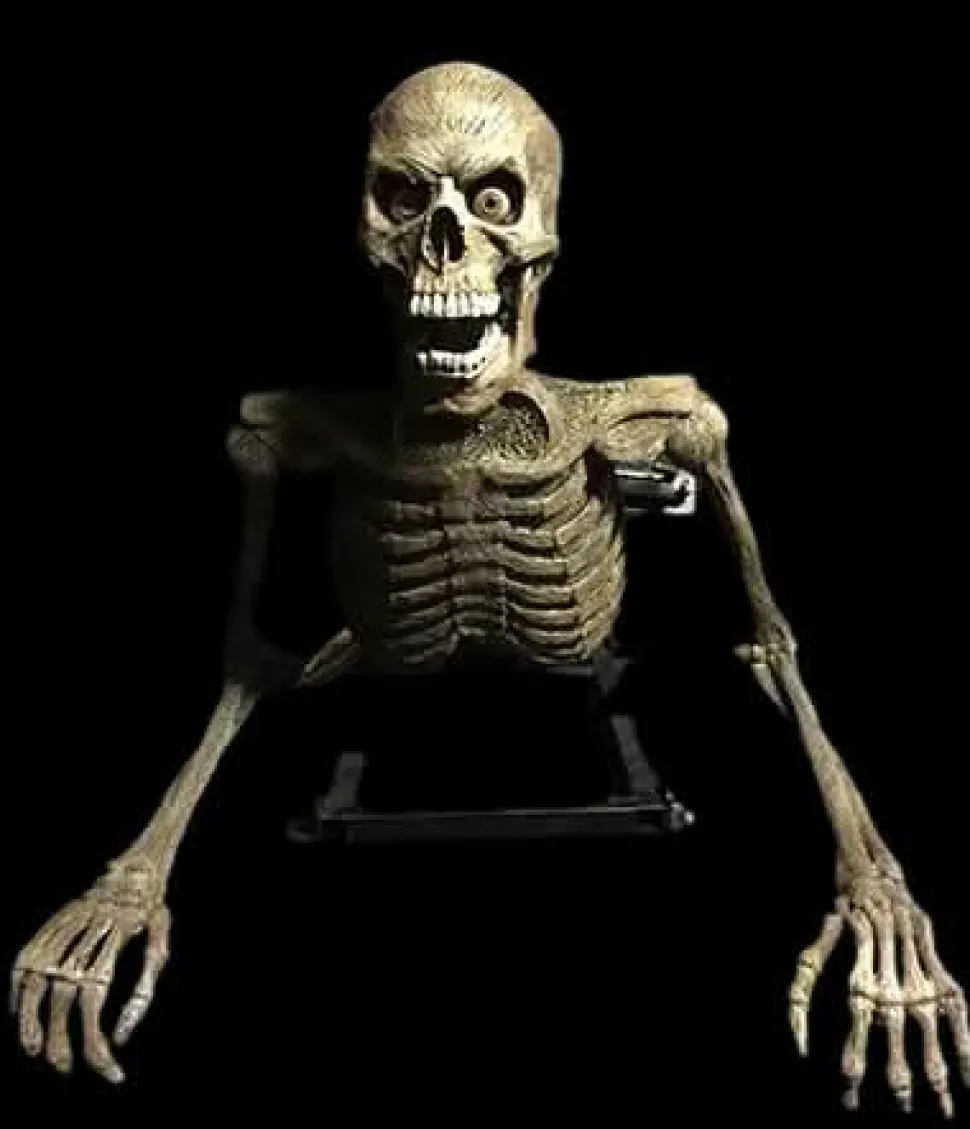 Peeper Skeleton Halloween Animatronic