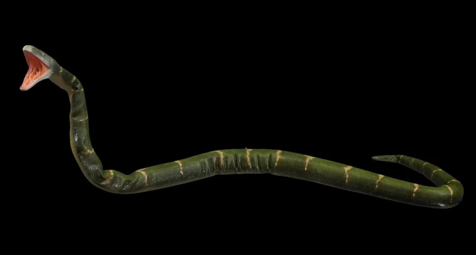 Posable Boa Snake Professional Halloween Prop