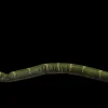 Posable Boa Snake Professional Halloween Prop