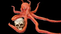 Posable Octopus Professional Halloween Prop