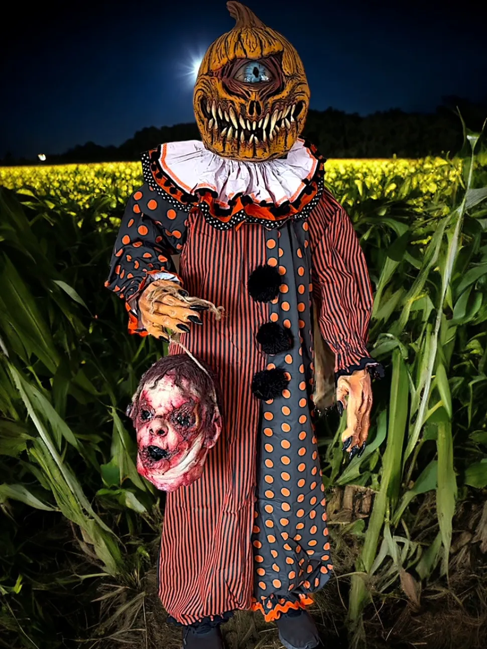 “Pumpkin Watcher" HD Studios Halloween Costume