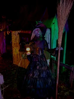 Ravens Revenge Witch Professional Halloween Prop