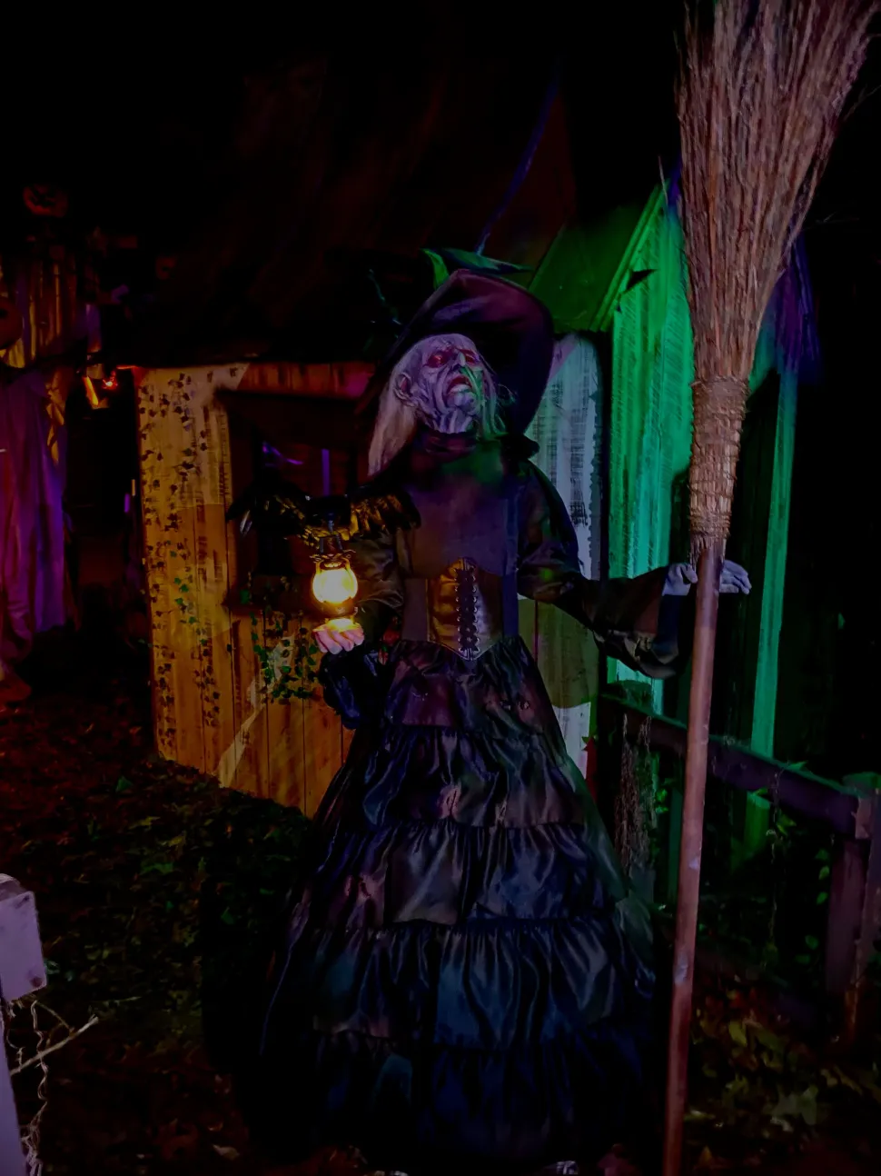 Ravens Revenge Witch Professional Halloween Prop