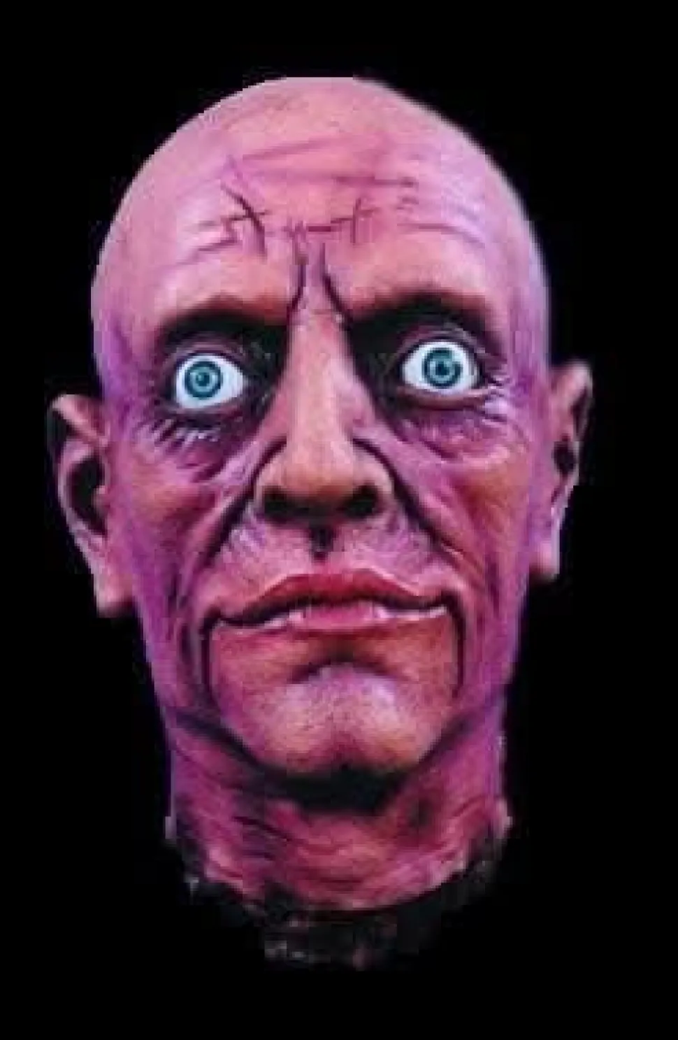 Realistic Cut Severed Head Bloody Halloween Prop