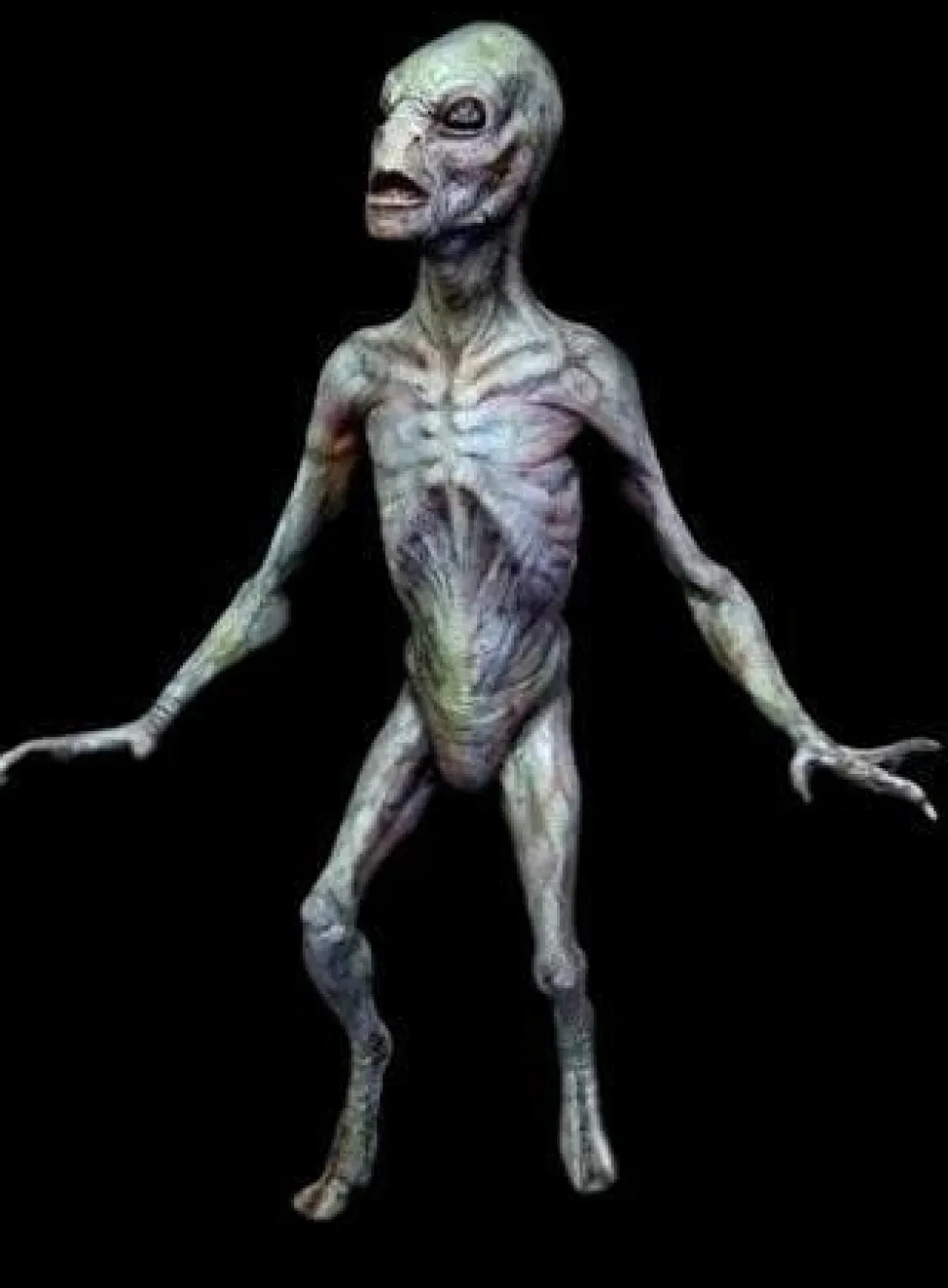 Reptilian Alien Professional Halloween Prop - 3 Foot