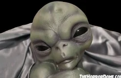 Roswell Alien Baby Crash Victim HD Exclusive Collector Oddity Halloween Decoration