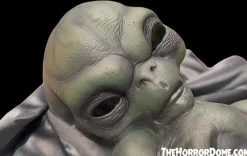 Roswell Alien Baby Crash Victim HD Exclusive Collector Oddity Halloween Decoration