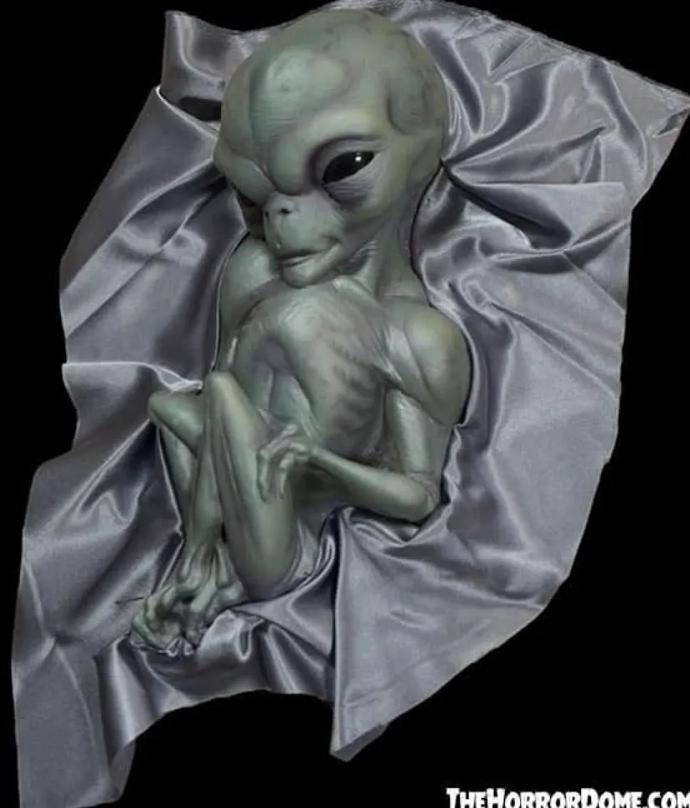 Roswell Alien Baby Crash Victim HD Exclusive Collector Oddity Halloween Decoration