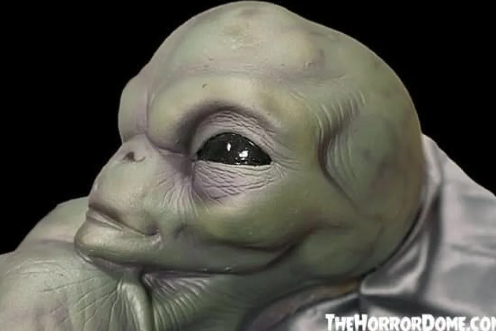 Roswell Alien Baby Crash Victim HD Exclusive Collector Oddity Halloween Decoration