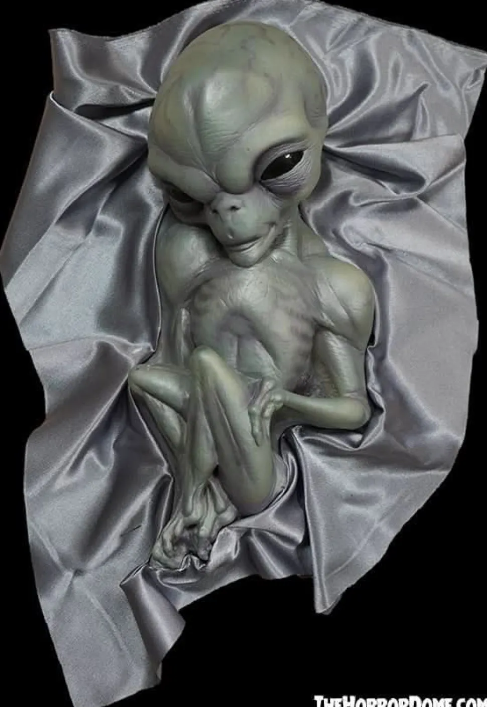 Roswell Alien Baby Crash Victim HD Exclusive Collector Oddity Halloween Decoration