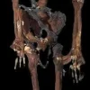 Rotted Corpse Skeleton Halloween Prop