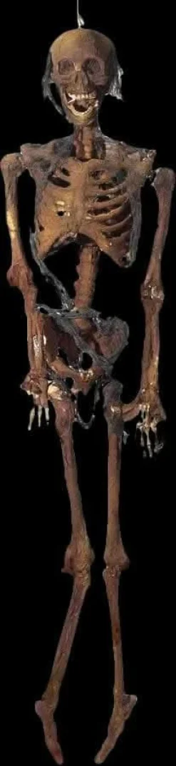 Rotted Corpse Skeleton Halloween Prop