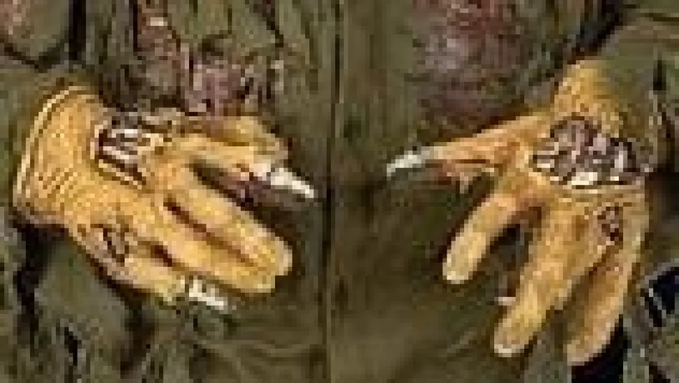 Rotted Jason Hands Halloween Costume Gloves