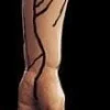 Severed Left Arm Bloody Human Body Part Prop