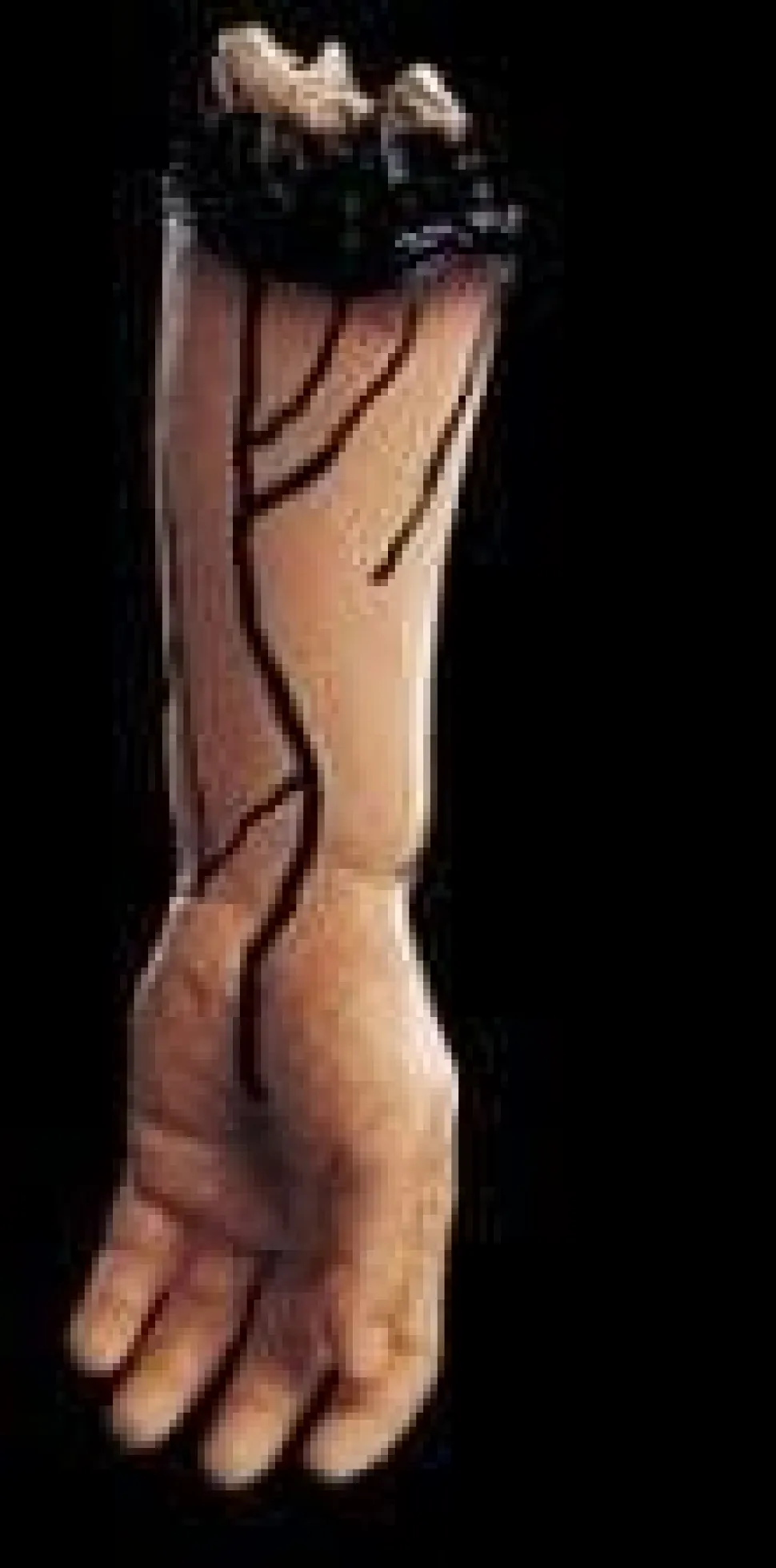 Severed Left Arm Bloody Human Body Part Prop