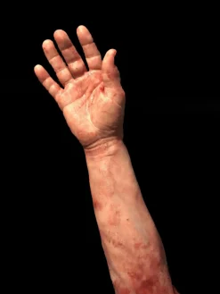 Severed Male Right Arm - Silicone Human Body Part Halloween Prop