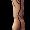 Severed Right Arm Bloody Body Part Halloween Prop