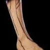 Severed Right Leg Bloody Body Part Halloween Prop