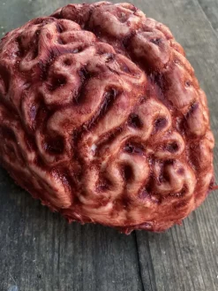 Silicone Brain Body Part Halloween Prop