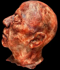 Silicone Crispy Severed Head Gory Halloween Prop