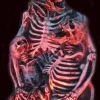 Skeleton Family Portrait Halloween Prop
