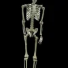 Skeleton Hanging Halloween Prop - 60"
