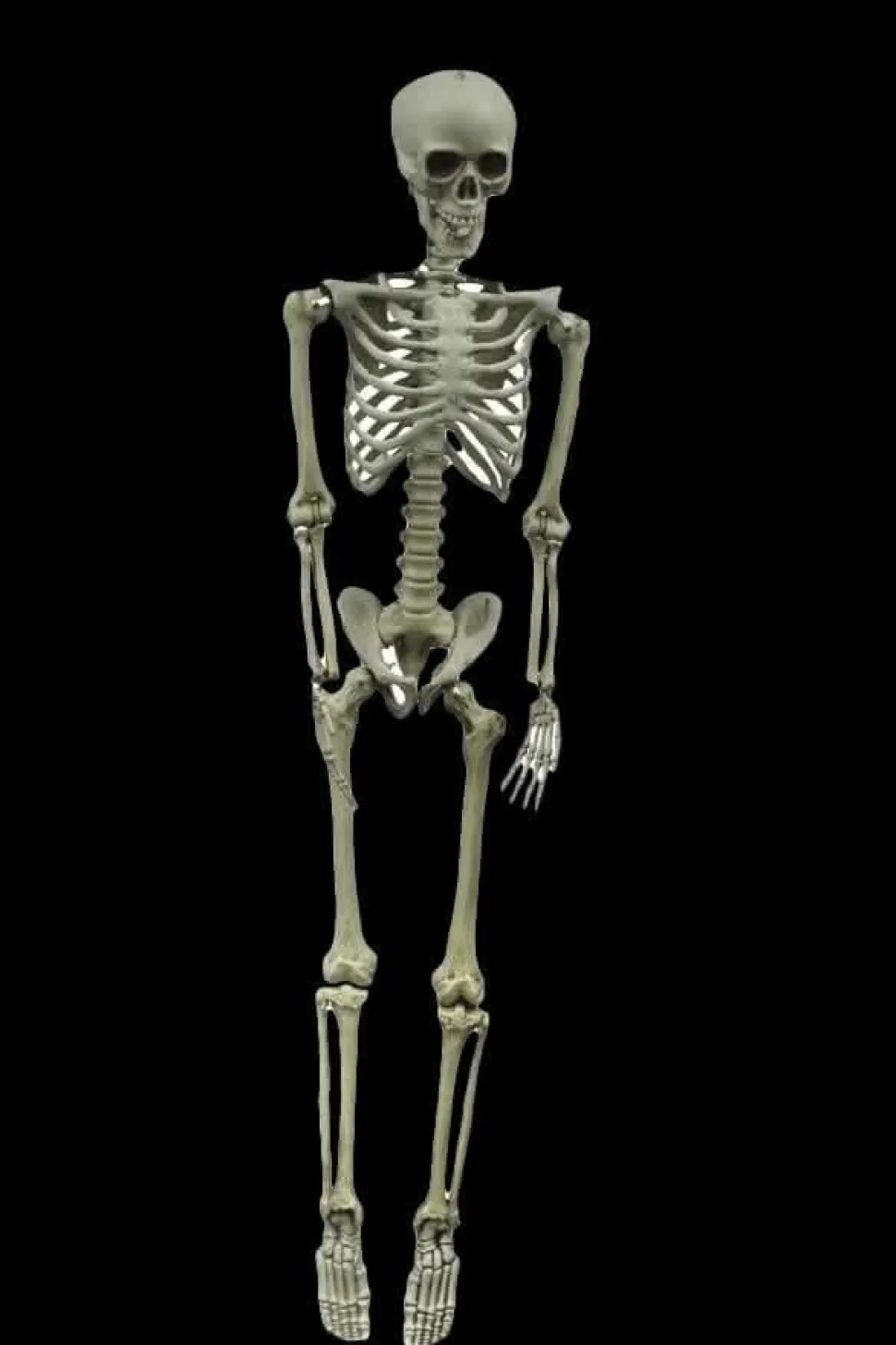 Skeleton Hanging Halloween Prop - 60"