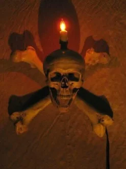 Skull/Femur Bone Wall Sconce Haunted House Lighting
