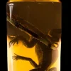 Small Iguana Replica Specimen Jar Halloween Prop