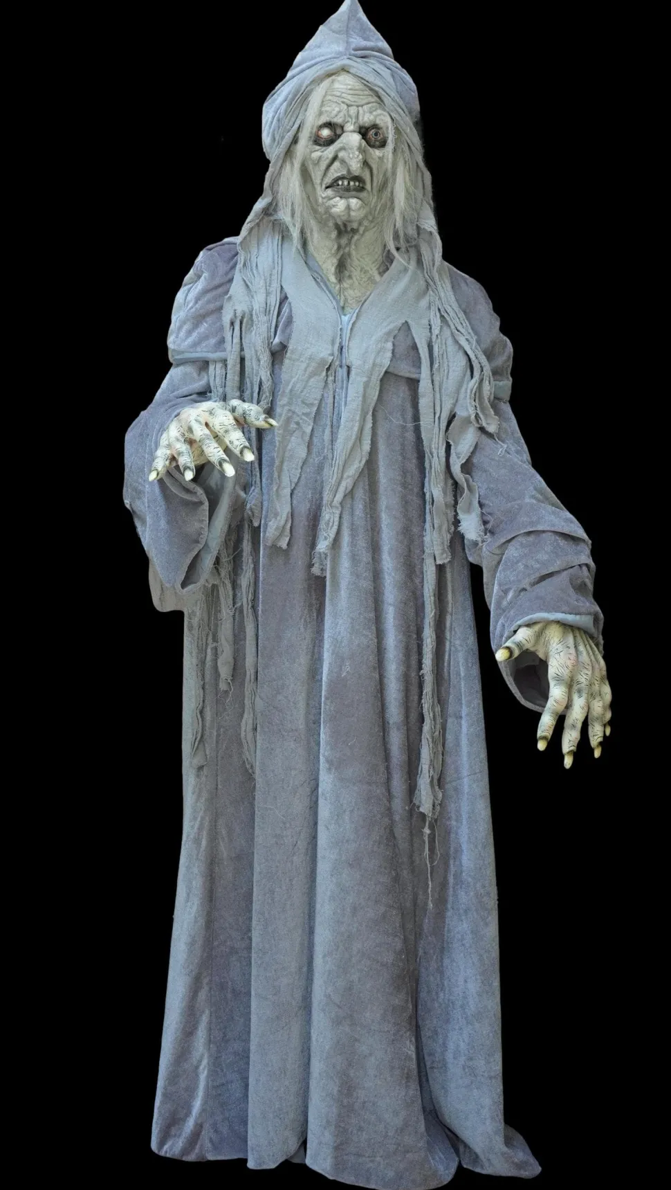 Swamp Hag HD Studios Costume