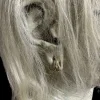 Swamp Hag HD Studios Pro Halloween Mask