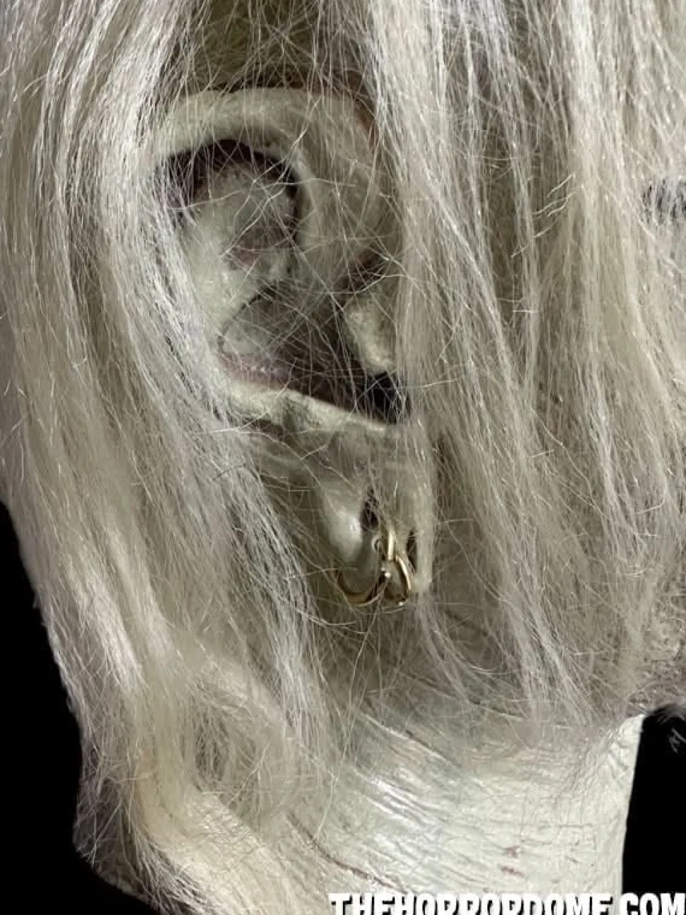 Swamp Hag HD Studios Pro Halloween Mask