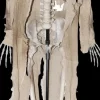 Talking Skeleton Halloween Prop - Open Box