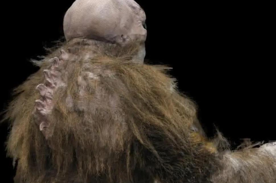 The Hobgoblin HD Studios Pro Halloween Costume