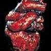 The Human Heart Bloody Halloween Prop