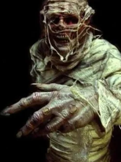 The Mummy Professional Costume
