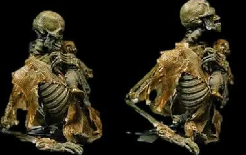 The Nanny Skeleton Halloween Animatronic