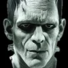 Universal Studios Frankenstein Mask