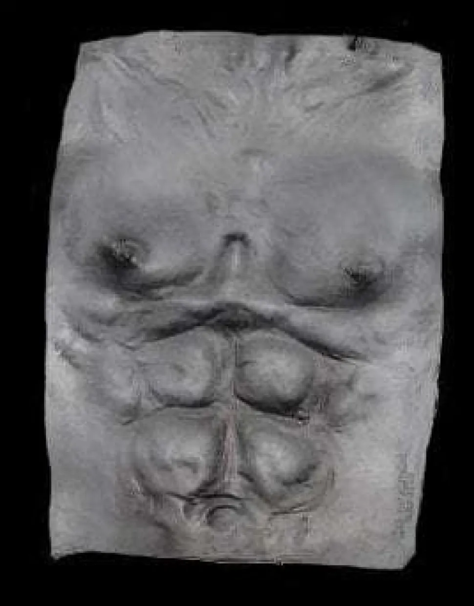 Werewolf Chest Plate - Grey Halloween Costume Accessory