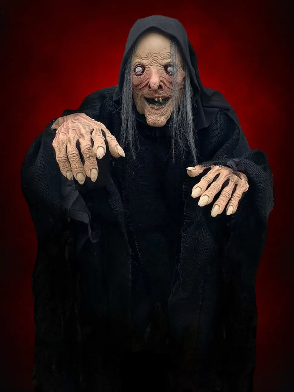 Wicked Witch HD Comfort Fit Halloween Costume