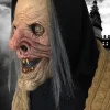 Wicked Witch HD Comfort Fit Halloween Mask