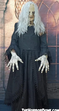Witchy Woman HD Studios Halloween Costume