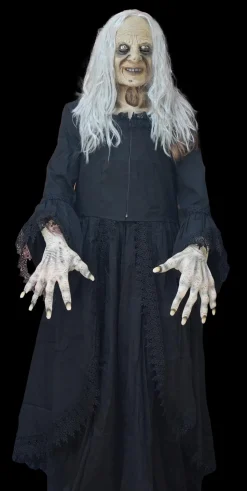 Witchy Woman HD Studios Halloween Costume
