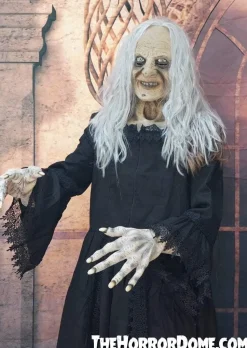 Witchy Woman HD Studios Halloween Costume
