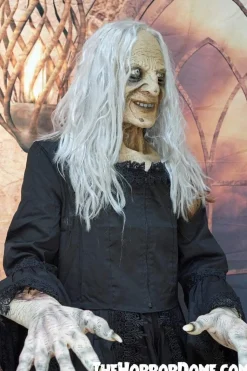 Witchy Woman HD Studios Halloween Costume